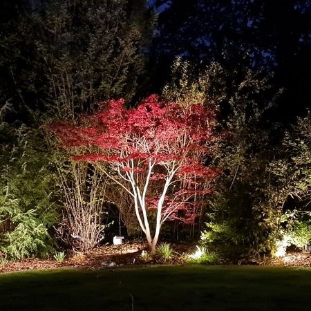 Bei der Gartenbeleuchtung setzen markante Formen und Farben Akzente