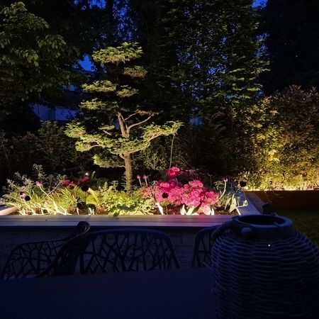 Gartenbeleuchtung Baum und Pflanzen